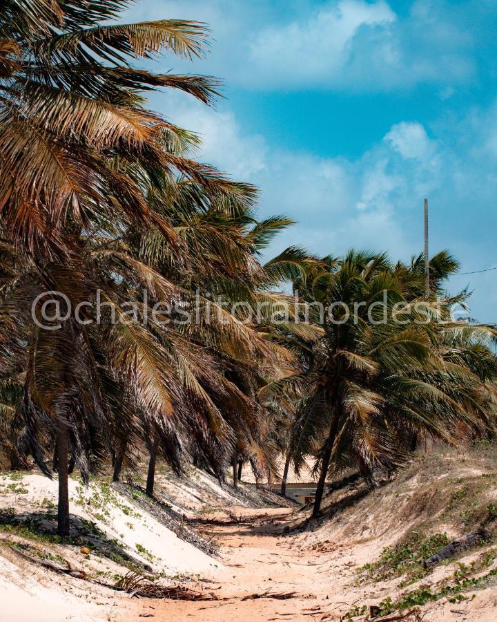 Chales Paraiso De Maracajau 1 빌라 외부 사진